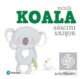 Minik Koala Ağacını Arıyor