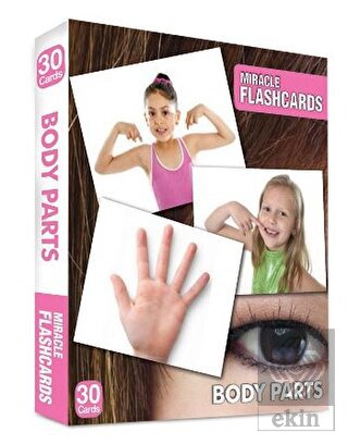Miracle Flashcards - Body Parts Box 30 Cards