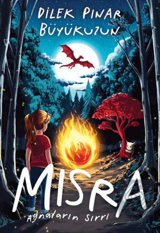Mısra Aynaların Sırrı