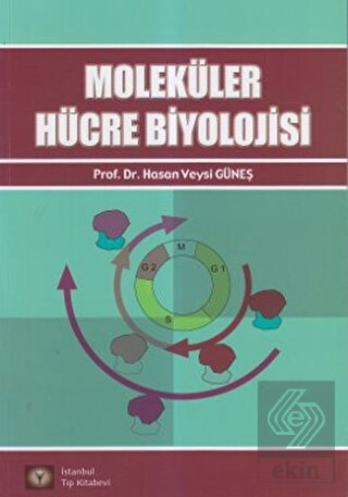 Moleküler Hücre Biyolojisi