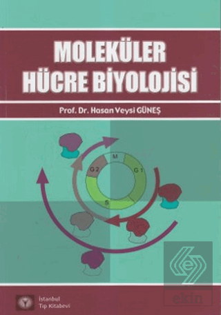 Moleküler Hücre Biyolojisi