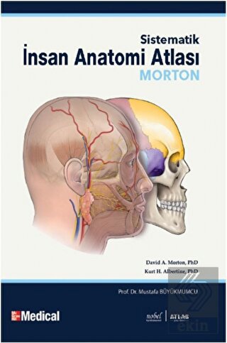Morton - Sistematik İnsan Anatomi Atlası - Human A