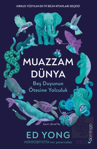 Muazzam Dünya: Beş Duyunun Ötesine Yolculuk