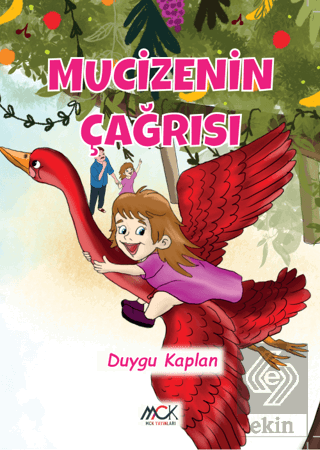Mucizenin Çağrısı