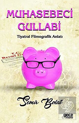 Muhasebeci Gullabi