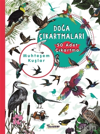 Muhteşem Kuşlar Doğa Çıkartmaları