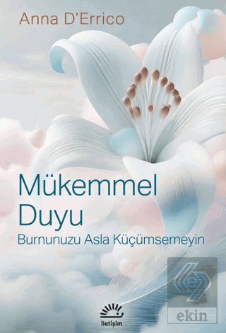 Mükemmel Duyu