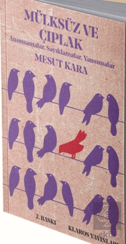 Mülksüz ve Çıplak