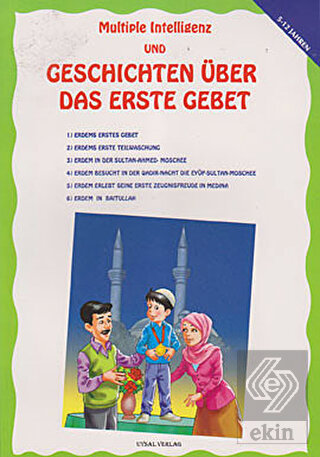 Multiple Intelligenz und Geschichten Über Das Erst