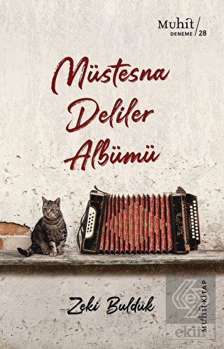 Müstesna Deliler Albümü