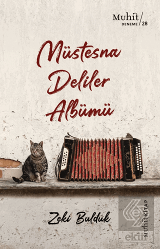 Müstesna Deliler Albümü