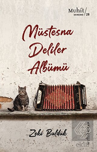 Müstesna Deliler Albümü