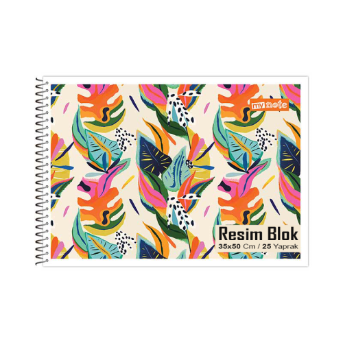 MY NOTE 35*50 25 YAPRAK RESİM DEFTERİ