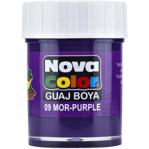 N.COLOR GUAJ BOYA SISE(DZ.LIK) MOR