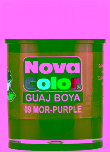N.COLOR GUAJ BOYA SISE(DZ.LIK) MOR