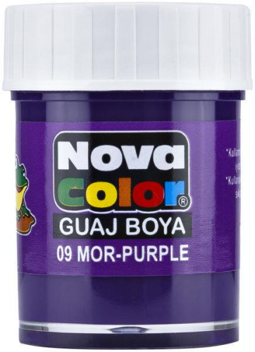 N.COLOR GUAJ BOYA SISE(DZ.LIK) MOR