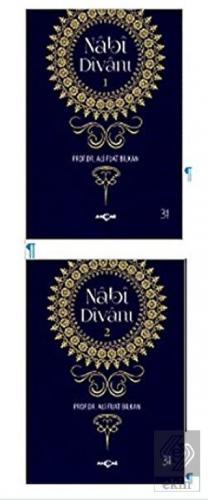 Nabi Divanı (2 Kitap Takım)