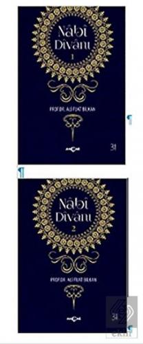 Nabi Divanı (2 Kitap Takım)