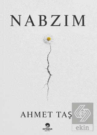 Nabzım