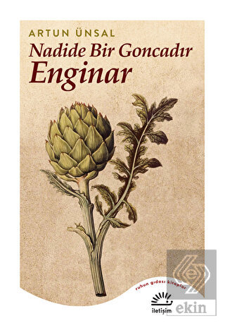 Nadide Bir Goncadır Enginar