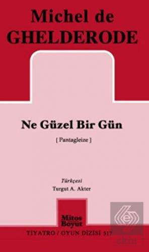 Ne Güzel Bir Gün