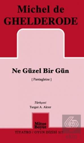 Ne Güzel Bir Gün