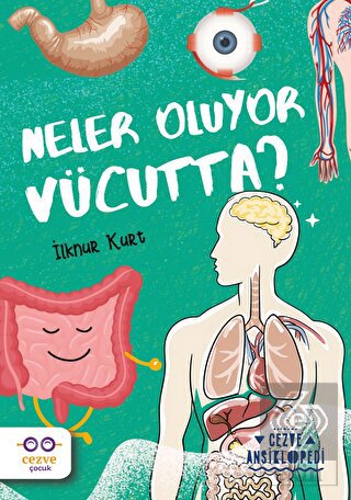 Neler Oluyor Vücutta? – Cezve Ansiklopedi