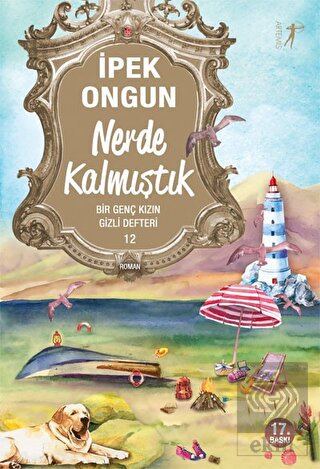 Nerde Kalmıştık - Bir Genç Kızın Gizli Defteri 12