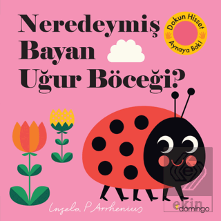 Neredeymiş Bayan Uğur Böceği?