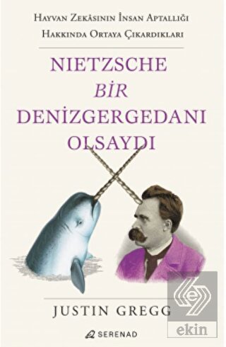 Nietzsche Bir Denizgergedanı Olsaydı