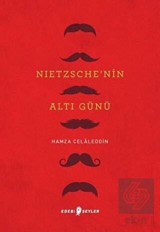 Nietzsche'nin Altı Günü