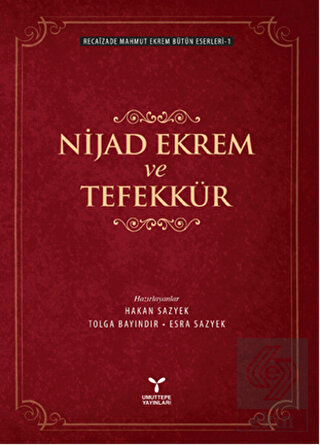 Nijad Ekrem ve Tefekkür