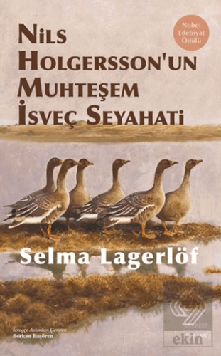 Nils Holgersson'un Muhteşem İsveç Seyahati