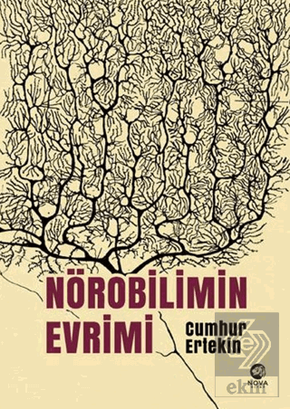Nörobilimin Evrimi