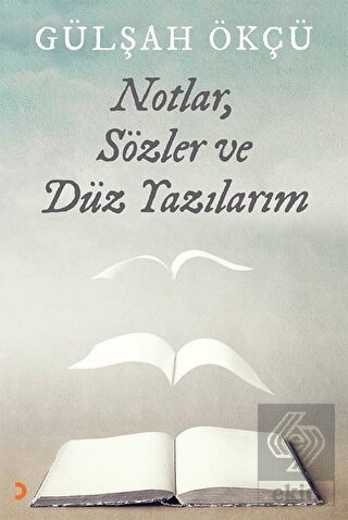 Notlar, Sözler ve Düz Yazılarım