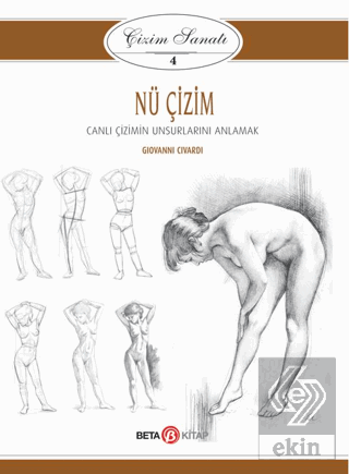 Nü Çizim - Çizim Sanatı 4