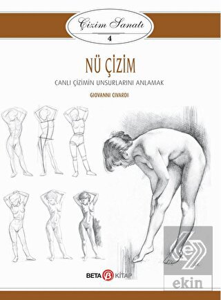 Nü Çizim - Çizim Sanatı 4