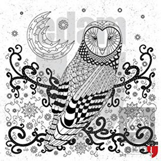 Nuh'un Gemisi Baykuş Tuval Boyama