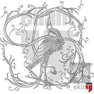 Nuh'un Gemisi Leylek Tuval Boyama