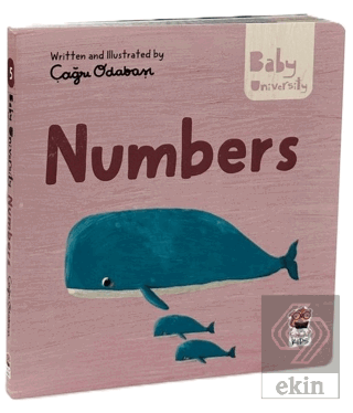 Numbers - Baby University First Concepts Stories