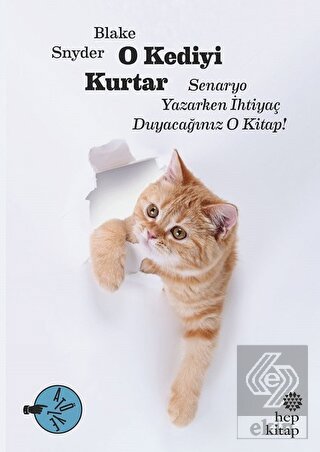 O Kediyi Kurtar: Senaryo Yazarken İhtiyaç Duyacağı