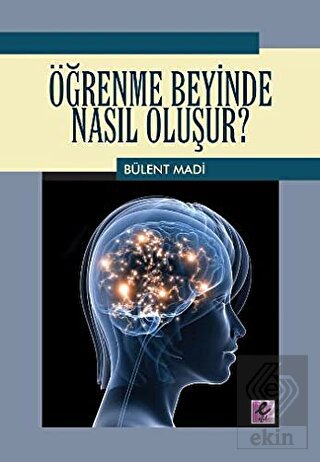 Öğrenme Beyinde Nasıl Oluşur?