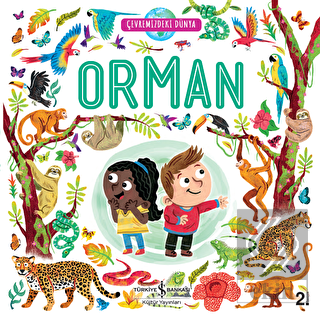 Orman - Çevremizdeki Dünya