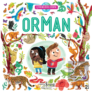 Orman - Çevremizdeki Dünya