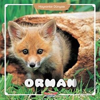 Orman - Hayvanlar Dünyası