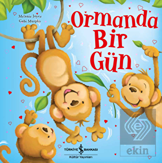 Ormanda Bir Gün