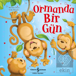 Ormanda Bir Gün