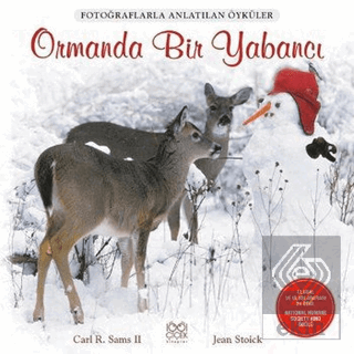 Ormanda Bir Yabancı