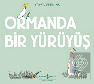 Ormanda Bir Yürüyüş