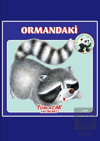 Ormandaki En Sevdiğim Hayvanlar Kitabı